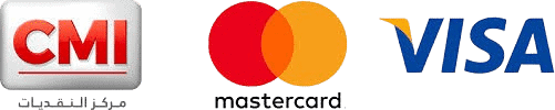 CMI, Mastercard et Visa
