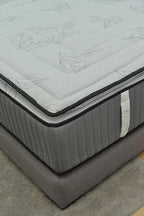 The Bed - Bed Sleep Store