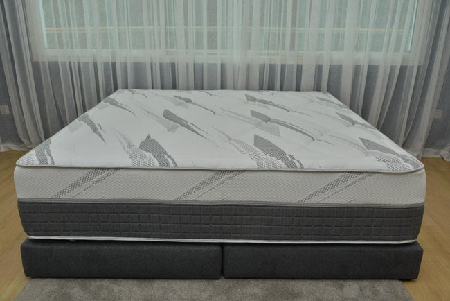 The New Standard Main Image